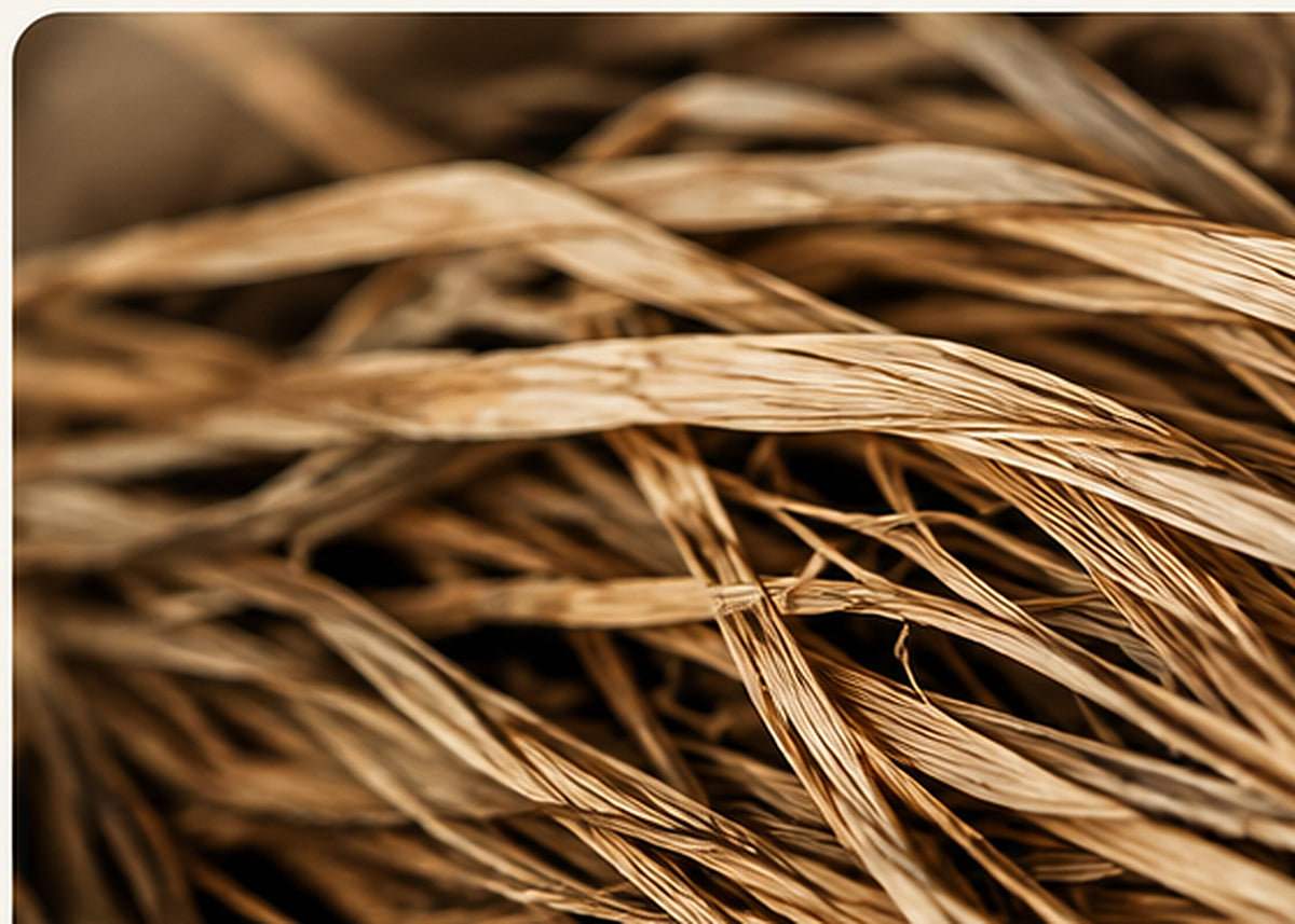ALLEON HOME Raffia natural fibres
